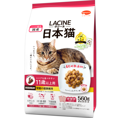 Rachaine Japanese Cat 11+ Years